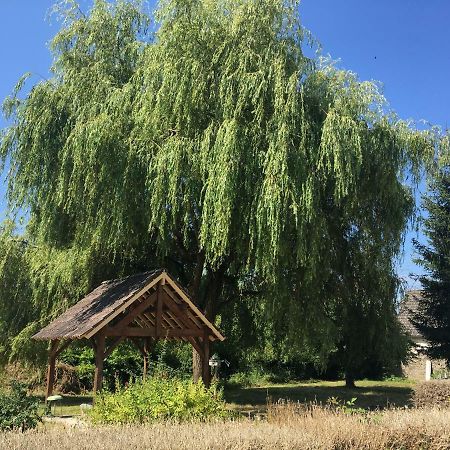 Saint-Pierre-le-Moûtier Charmant T2 Rdc Dans Residence Avec Parc Arbore מראה חיצוני תמונה