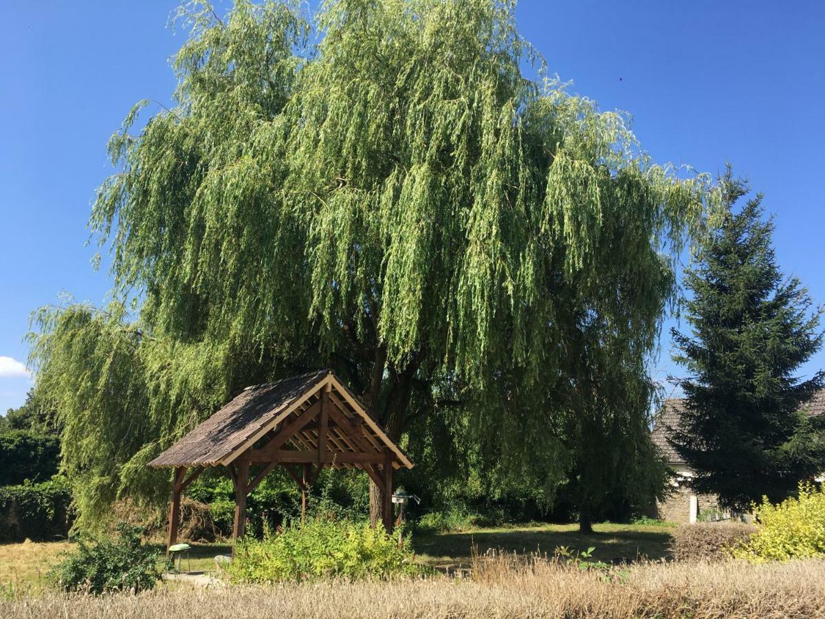 Saint-Pierre-le-Moûtier Charmant T2 Rdc Dans Residence Avec Parc Arbore מראה חיצוני תמונה